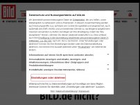 Bild zum Artikel: Schock in Sachsen - Nächstes AfD-Desaster für Kretschmer!