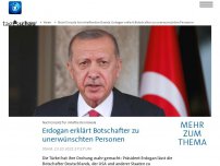 Bild zum Artikel: Fall Kavala: Türkischer Präsident erklärt deutschen Botschafter zu unerwünschter Person