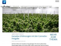 Bild zum Artikel: Kanadas Erfahrungen mit der Legalisierung von Cannabis