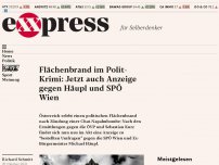 Bild zum Artikel: Flächenbrand im Polit-Krimi: Jetzt auch Anzeige gegen Häupl und SPÖ Wien, Sondersendung um 18.30 Uhr