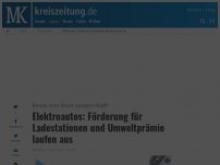 Bild zum Artikel: Elektroautos: Förderung für Ladestationen und Umweltprämie laufen aus