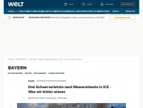 Bild zum Artikel: Messerattacke in ICE zwischen Regensburg und Nürnberg 