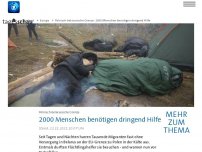 Bild zum Artikel: 2000 Menschen an belarusischer Grenze benötigen dringend Hilfe