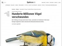 Bild zum Artikel: Artensterben in Europa: Hunderte Millionen Vögel verschwunden