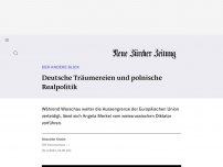 Bild zum Artikel: DER ANDERE BLICK - Deutsche Träumereien und polnische Realpolitik