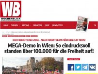 Bild zum Artikel: MEGA-Demo in Wien: So eindrucksvoll standen über 100.000 für die Freiheit auf!