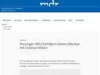 Bild zum Artikel: Thüringer AfD-Chef Höcke womöglich mit Corona infiziert