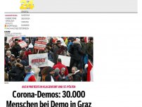 Bild zum Artikel: Corona-Demos: 10.000 in Graz, 5.000 in Klagenfurt