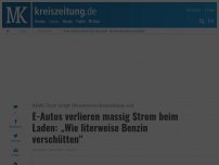 Bild zum Artikel: E-Autos verlieren massig Strom beim Laden: „Wie literweise Benzin verschütten“