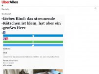 Bild zum Artikel: Liebes Kind: das streunende Kätzchen ist klein, hat aber ein großes Herz