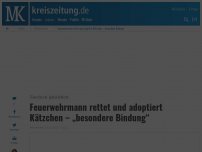 Bild zum Artikel: Feuerwehrmann rettet und adoptiert Kätzchen – „besondere Bindung“