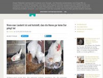 Bild zum Artikel: Wenn man Landwirt ist und feststellt, dass die Henne gar keine Eier gelegt hat