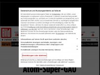 Bild zum Artikel: Ausland setzt auf Kernkraft - Grünen droht Atom-Super-Gau