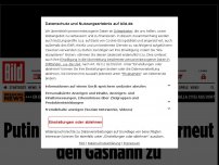 Bild zum Artikel: Nach Tiergarten-Mord-Urteil - Putin dreht Deutschland erneut den Gashahn zu