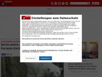 Bild zum Artikel: Letzte Eisbärin aus Berliner Zoo - An Heiligabend tot aufgefunden: Eisbärin Katjuscha gestorben