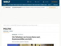 Bild zum Artikel: Blitzverfahren gegen Teilnehmer von Corona-Demo – Mutter von verletztem Kind angezeigt