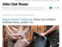 Bild zum Artikel: Wegen schwerer Verletzung: Kölner Zoo schläfert Erdferkel-Mann „Dobby' ein