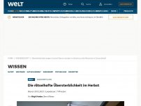 Bild zum Artikel: Die rätselhafte Übersterblichkeit im Herbst