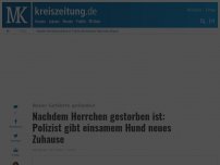 Bild zum Artikel: Nachdem Herrchen gestorben ist: Polizist gibt einsamem Hund neues Zuhause