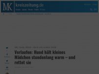 Bild zum Artikel: Verlaufen: Hund hält kleines Mädchen stundenlang warm – und rettet sie