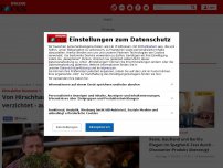 Bild zum Artikel: Klimakiller Nummer 1 - Von Hirschhausen: Ab sofort sollte es zu jedem Kilo Fleisch zwanzig Liter Gülle geben