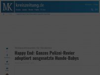Bild zum Artikel: Happy End: Ganzes Polizei-Revier adoptiert  ausgesetzte Hunde-Babys