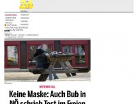 Bild zum Artikel: Keine Maske: Auch Bub in NÖ schrieb Test im Freien