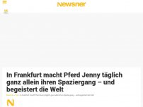 Bild zum Artikel: In Frankfurt macht Pferd Jenny täglich ganz allein ihren Spaziergang – und begeistert die Welt