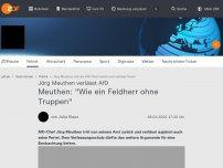 Bild zum Artikel: Jörg Meuthen tritt als AfD-Chef zurück