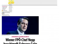 Bild zum Artikel: Wiener FPÖ-Chef Nepp beschimpft Schwarz-Grün als 'Idiotenregierung'