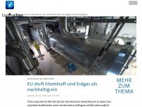 Bild zum Artikel: EU-Kommission stuft Atomkraft und Erdgas als nachhaltig ein