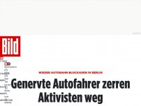 Bild zum Artikel: Berliner genervt - Autobahn-Blockaden in Berlin – Fahrer zieht Aktivist weg