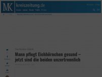 Bild zum Artikel: Mann pflegt Eichhörnchen gesund – jetzt sind die beiden unzertrennlich