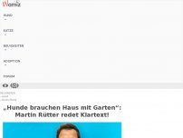 Bild zum Artikel: „Hunde brauchen Haus mit Garten“: Martin Rütter redet Klartext!