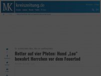 Bild zum Artikel: Retter auf vier Pfoten: Hund „Leo“ bewahrt Herrchen vor dem Feuertod