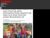 Bild zum Artikel: „Neuer Freund“: Eine Familie, die einen Hund mit einem deformierten Kiefer adoptiert hat, nahm noch einen Hund mit solcher Besonderheit auf