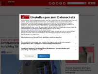 Bild zum Artikel: Urteil in der Energiekrise - Stromanbieter verlangt 245-Prozent-Aufschlag für Neukunden - Gericht greift ein