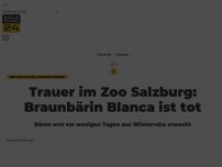 Bild zum Artikel: Trauer im Zoo Salzburg: Braunbärin Blanca ist tot