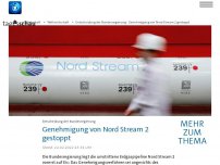 Bild zum Artikel: Bundesregierung stoppt Genehmigung von Nord Stream 2 vorläufig