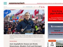 Bild zum Artikel: Anti-Impflicht-Demo mit Kickl, Sönnichsen, Bhakti, Proll und Düringer