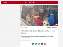 Bild zum Artikel: Tierretter nach Grenz-Einsatz mit Auto voller Hunde
