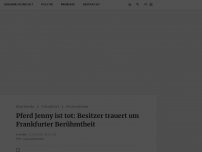 Bild zum Artikel: Sie war ein Star in Frankfurt: Pferd Jenny verliert den Kampf gegen den Krebs