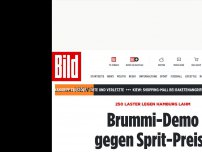 Bild zum Artikel: Laster legen Hamburg lahm - Brummi-Demo gegen Sprit-Preise
