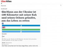 Bild zum Artikel: Ein Mann aus der Ukraine ist 100 Kilometer mit seiner Kuh und seinen Ochsen gelaufen, um das Leben zu retten