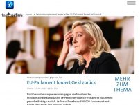 Bild zum Artikel: EU-Parlament fordert Geld von Marine Le Pen zurück