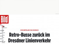 Bild zum Artikel: DVB erfüllen Fan-Wunsch - Retro-Busse zurück im Dresdner Linienverkehr