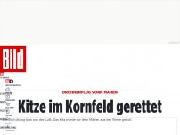 Bild zum Artikel: Drohnenflug vorm Mähen - Kitze im Kornfeld gerettet