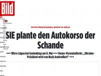 Bild zum Artikel: Putin-Propaganda in Köln - SIE plante den Auto-Korso der Schande