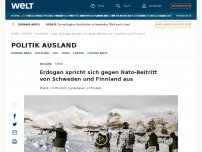 Bild zum Artikel: Erdogan spricht sich gegen Nato-Beitritt von Schweden und Finnland aus
