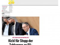 Bild zum Artikel: Kickl für Stopp der Zahlungen an EU-Friedensfazilität